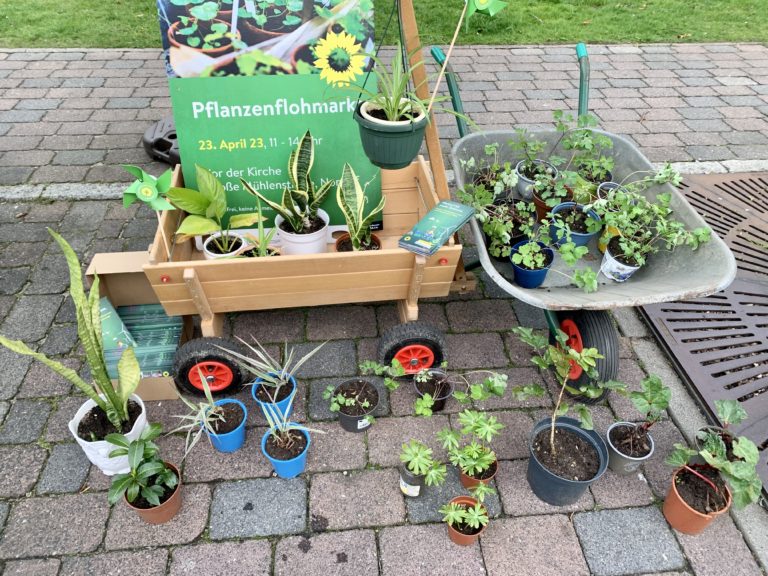 Pflanzenflohmarkt