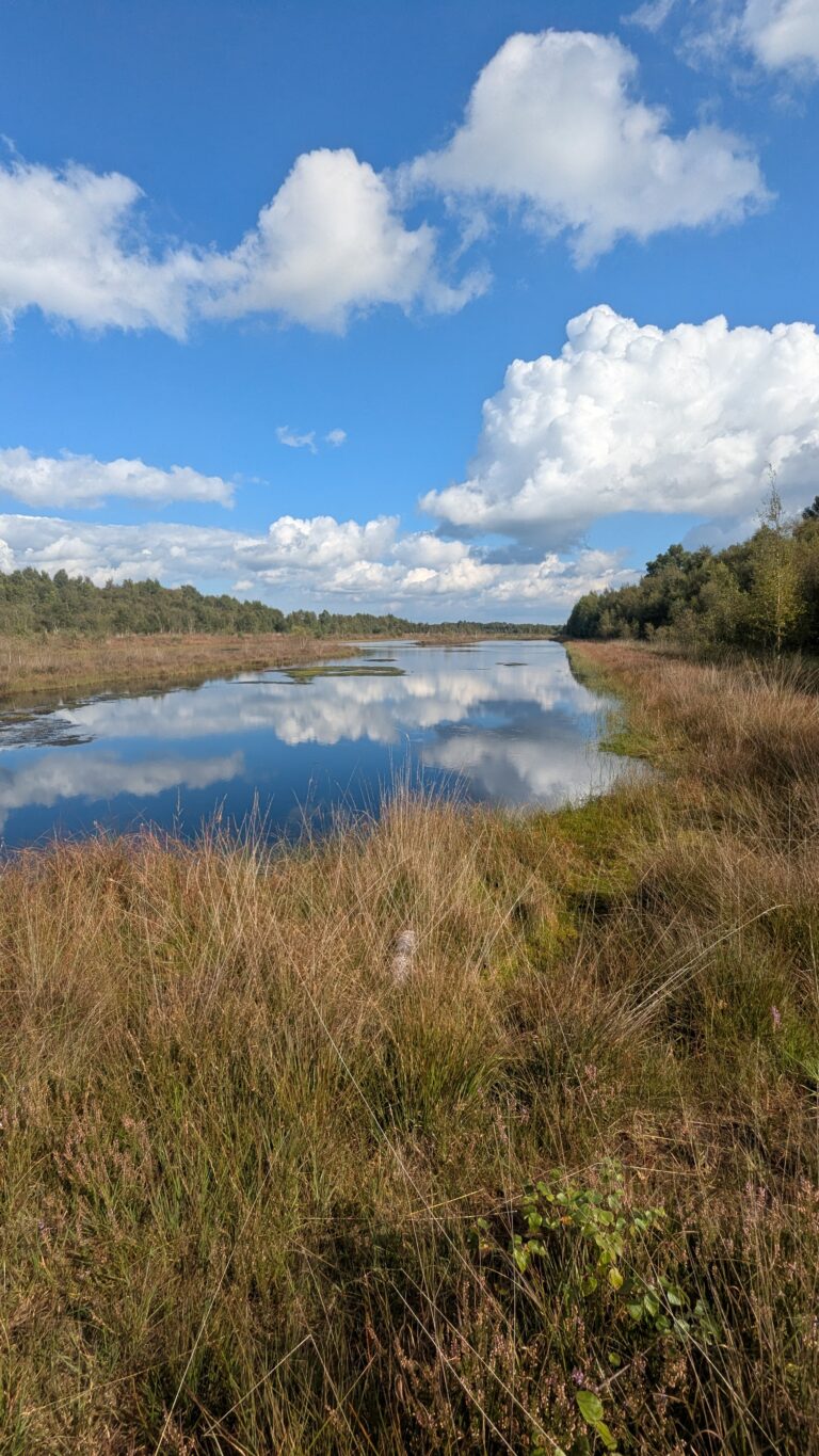 Bericht über unsere Moorwanderung